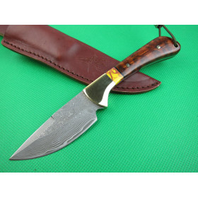 Damascus Schooty Mantis-Classic Snakewood Collection Knife Fixed Blade Outdoor Camping Knife UD401469